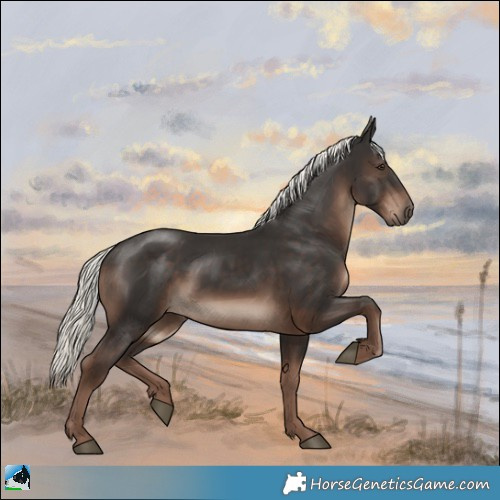 Horse Color:Liver Chestnut Mushroom 