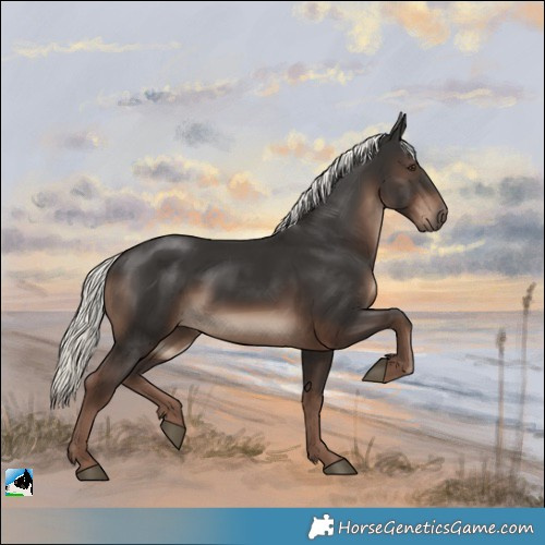 Horse Color:Liver Chestnut Mushroom