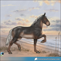 Horse Color:Liver Chestnut Mushroom 