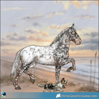 Horse Color:Liver Chestnut Mushroom Blanket 