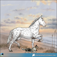 Horse Color:Liver Chestnut Mushroom Near Leopard 