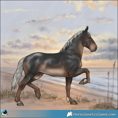 Horse Color:Liver Chestnut Mushroom 