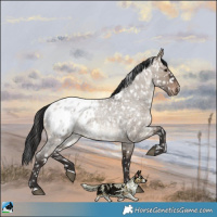 Horse Color:Brown Roan Dun Blanket 