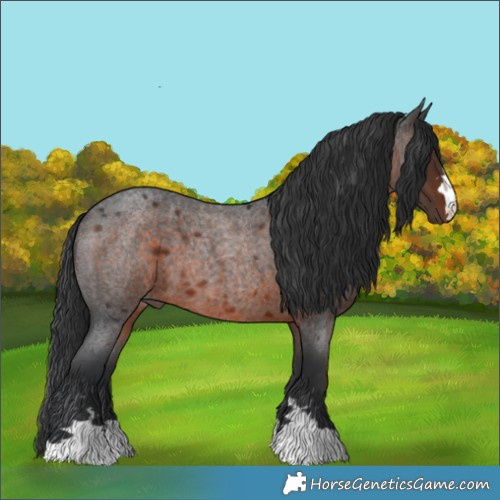 Horse Color:Brown Roan 