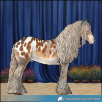 Horse Color:Chocolate Palomino Blanket 