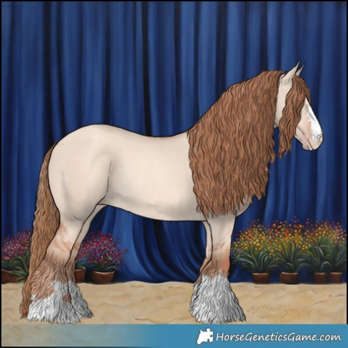 Horse Color:Gold Champagne Dun Rabicano 