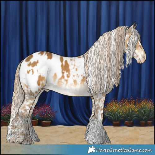 Horse Color:White Spotted Chocolate Palomino Dun Appaloosa