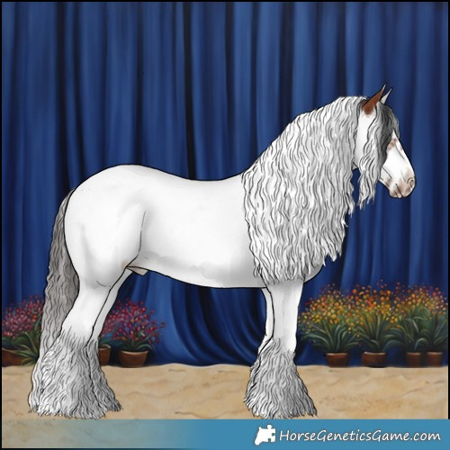 Horse Color:Bay Splash Tobiano Frame