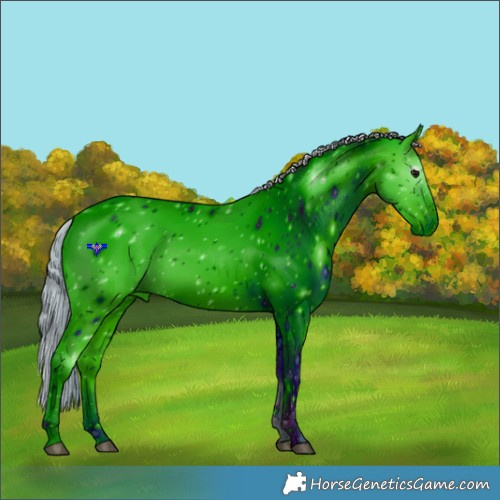 Horse Color:ERROR: UNKNOWN ANOMALY