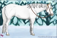 Horse Color:Silver Amber Cream Champagne Dun Splash Tobiano Frame Rabicano
