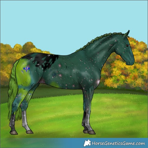 Horse Color:ERROR: UNKNOWN ANOMALY