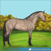 Horse Color:Bay Dun Brindle 