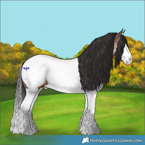 Horse Color:Brown Splash Near Fewspot 