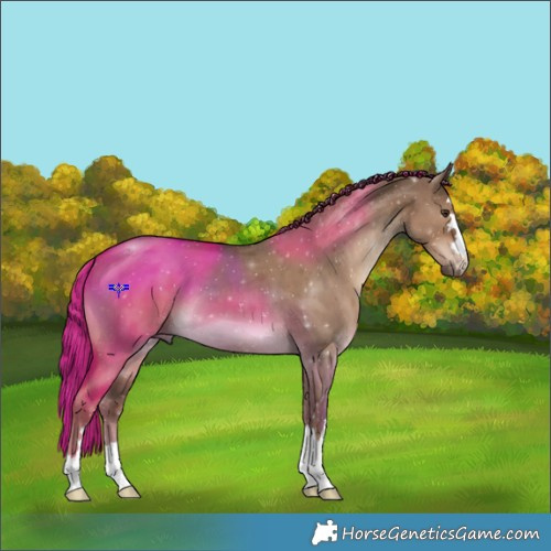 Horse Color:Liver Red Dun 