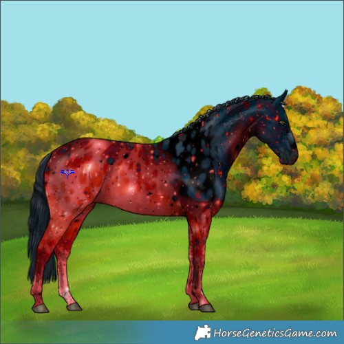 Horse Color:ERROR: UNKNOWN ANOMALY