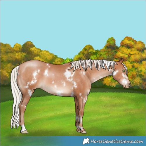 Horse Color:White Spotted Silver Brown Pearl 