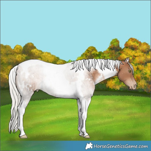 Horse Color:White Spotted Silver Brown Pearl Tobiano 