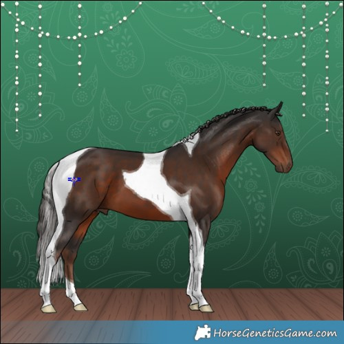 Horse Color:Liver Chestnut Tobiano 