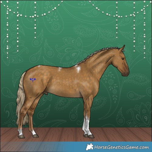 Horse Color:Chocolate Palomino Dun Tobiano 