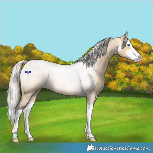 Horse Color:Silver Buckskin Roan Dun Sabino Splash 