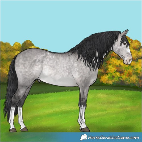 Horse Color:Platinum Brown Dun 