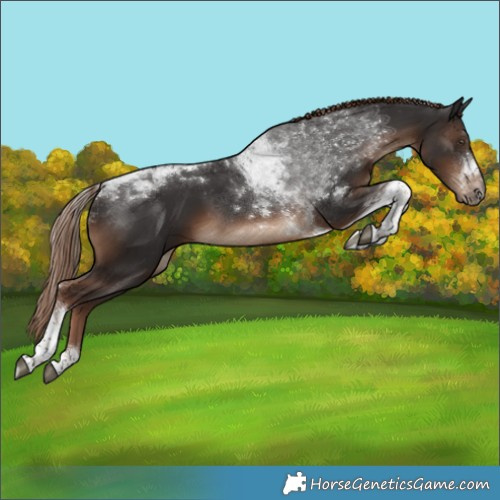 Horse Color:White Spotted Liver Chestnut Tobiano 