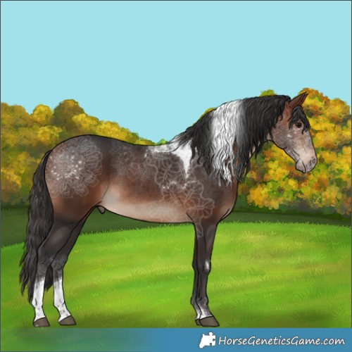 Horse Color:Bay Tobiano Rabicano 