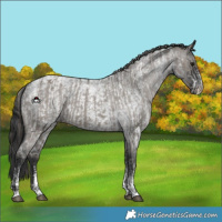 Horse Color:Powder White Grullo Varnish and Powder White Blue Roan