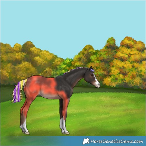 Horse Color:Painted Liver Chestnut Mushroom