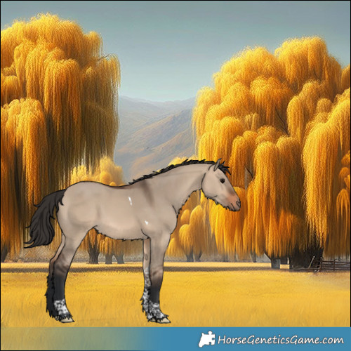 Horse Color:Brown Dun Tobiano 
