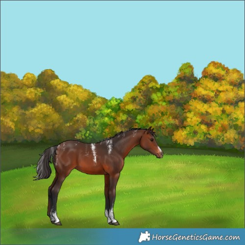 Horse Color:Powder White Brown 