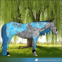 Horse Color:Painted Black Ice 