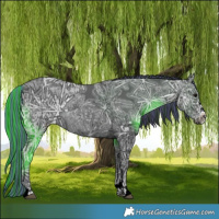 Horse Color:Painted Black Ice 