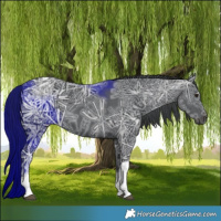 Horse Color:White Spotted Black Chinchilla Ice 