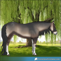 Horse Color:White Spotted Blue Onyx 