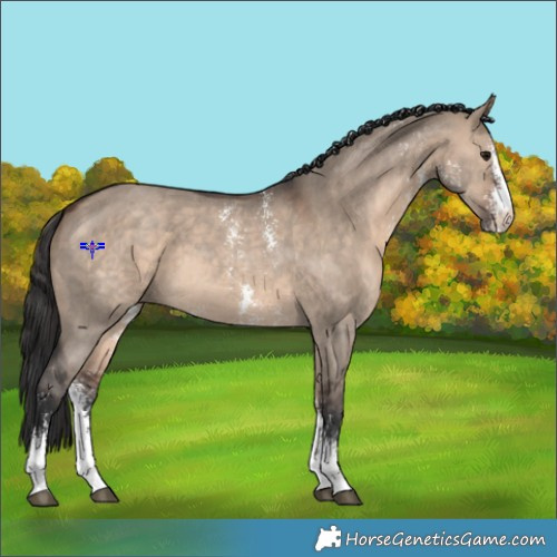 Horse Color:Brown Dun Sabino 