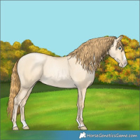 Horse Color:Smoky Grullo Pearl Splash 