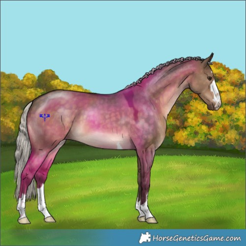 Horse Color:Silver Brown Dun 