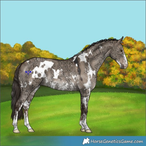 Horse Color:White Spotted Liver Red Dun Ice Sabino 