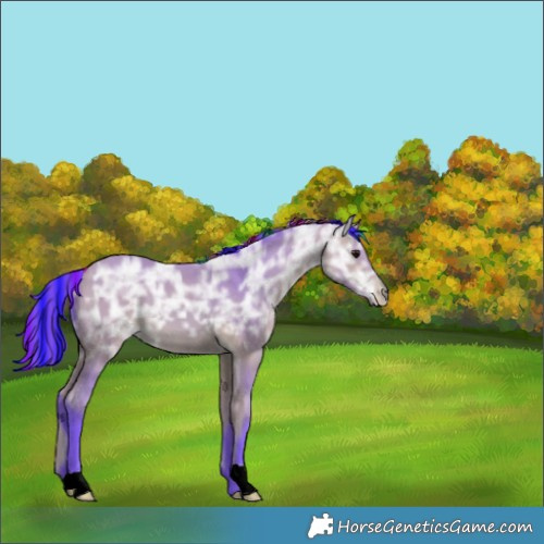 Horse Color:Painted Watercolor Bay Ice 