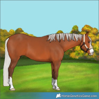 Horse Color:Silver Bay