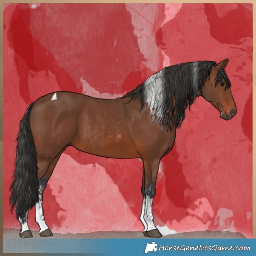 Horse Color:Brown Sabino Rabicano  and Brown Sabino Tobiano Rabicano 