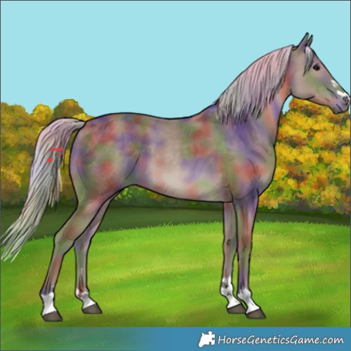 Horse Color:Nacre Silver Black 