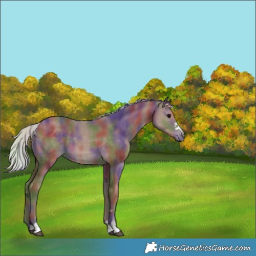Horse Color:Nacre Silver Black 