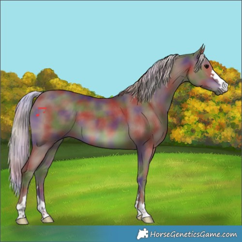 Horse Color:Nacre Silver Black 