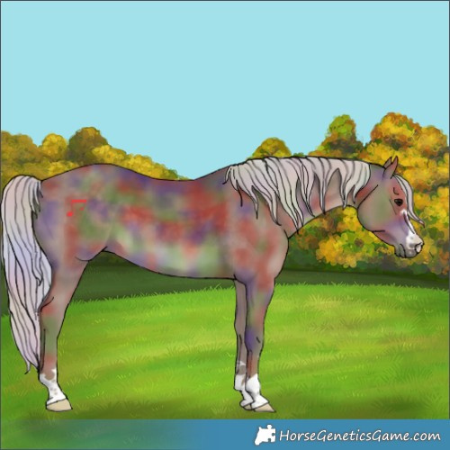 Horse Color:Nacre Silver Black 