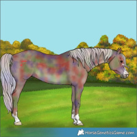 Horse Color:Nacre Silver Black 