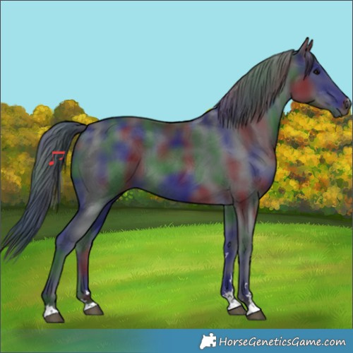 Horse Color:Nacre Black 