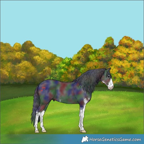 Horse Color:Nacre Black Sabino 