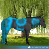 Horse Color:Void Painted Black Tobiano 